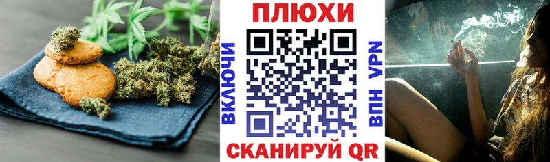 магазин продажи наркотиков  Каргат  Canna-Cookies конопля 