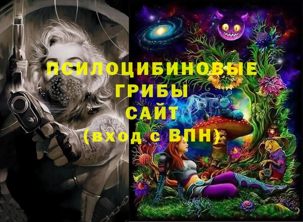ECSTASY Алзамай
