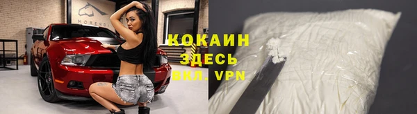 ECSTASY Алзамай