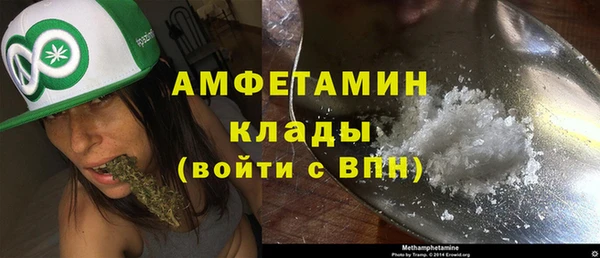 ECSTASY Алзамай