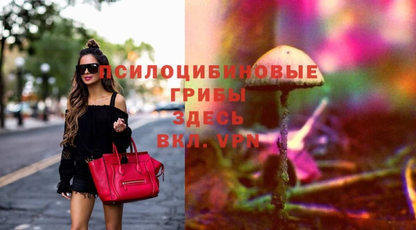 кокс Алексеевка